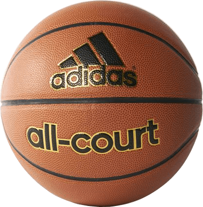 Imagen de All-Court Basketball